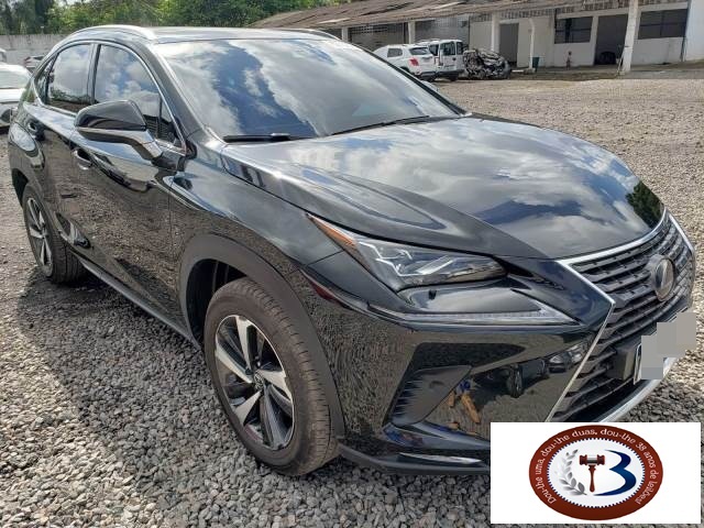 LOTE 038 LEXUS NX 300H LUXURY 2.5 16V DUAL VVTI 2020